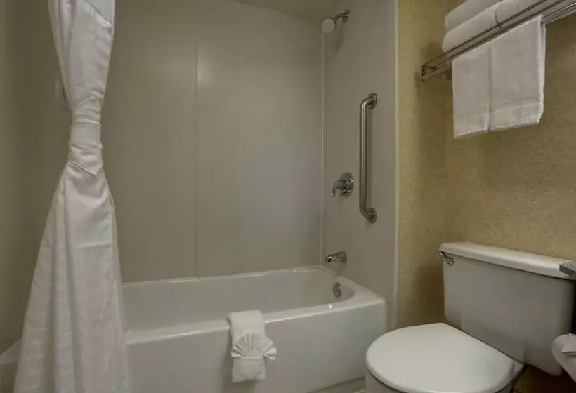 Surestay Plus Hotel By Best Western Chicago Lombard