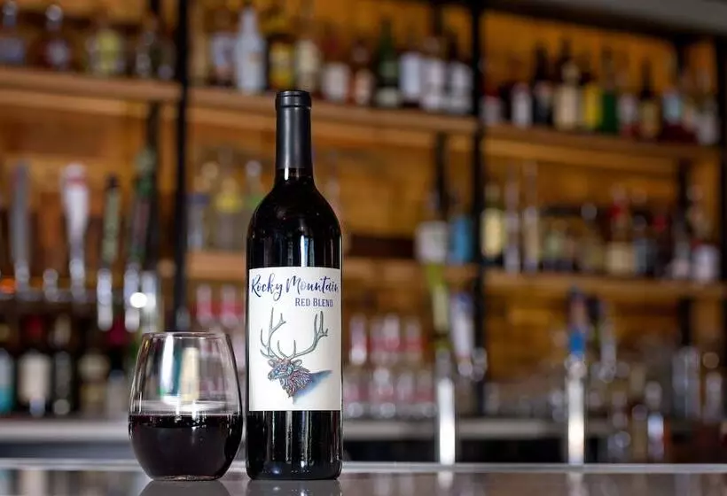 酒店 Holiday Inn Estes Park, An Ihg