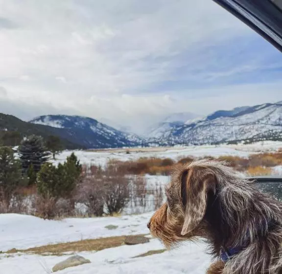 酒店 Holiday Inn Estes Park, An Ihg