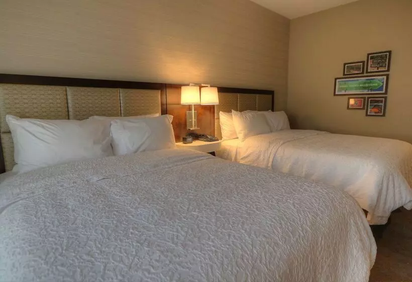 리조트 Hampton Inn Gatlinburg Historic Nature Trail