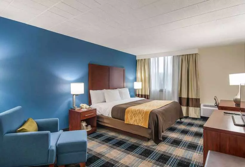 酒店 Comfort Inn & Suites