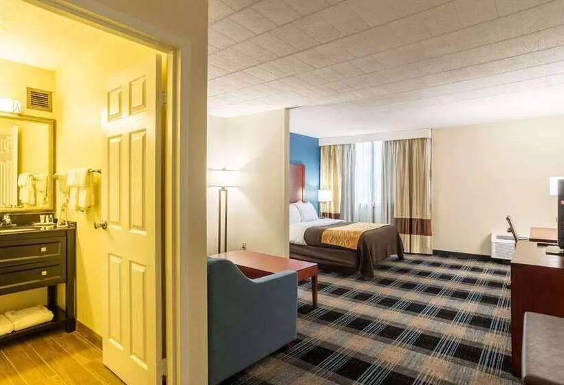 酒店 Comfort Inn & Suites