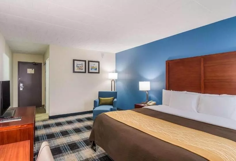 酒店 Comfort Inn & Suites
