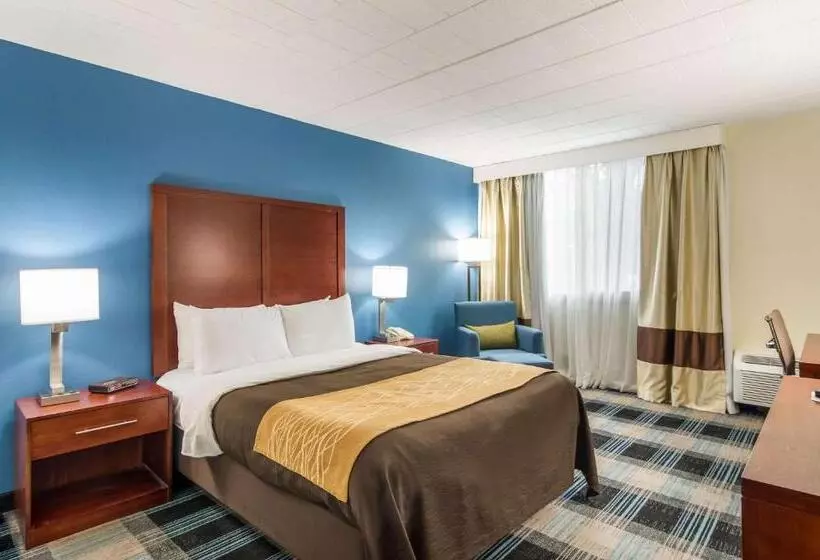 酒店 Comfort Inn & Suites