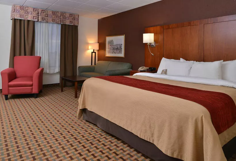 호텔 Quality Inn & Suites