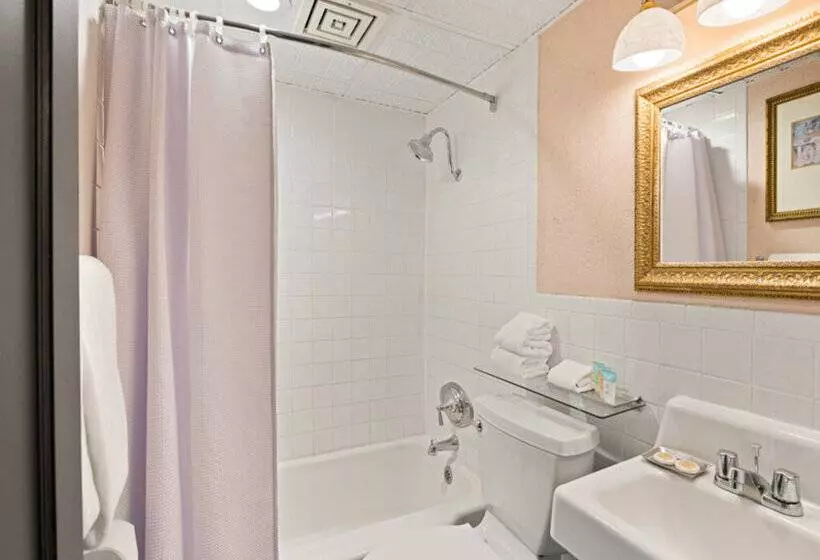 Отель Maxwell Anderson