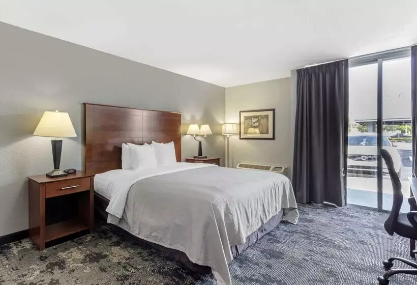 ホテル Quality Inn Downtown Stuart