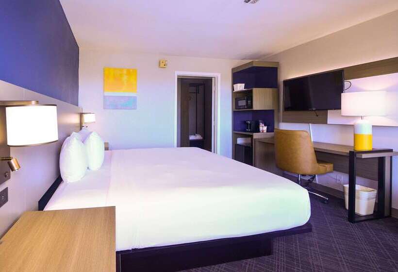 בית מלון כפרי Comfort Inn Encinitas Near Legoland