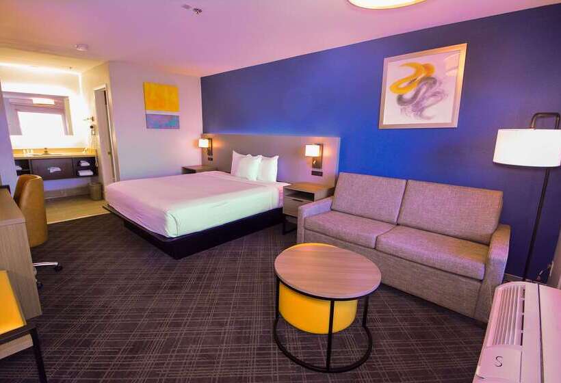 בית מלון כפרי Comfort Inn Encinitas Near Legoland