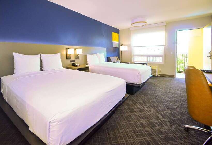 בית מלון כפרי Comfort Inn Encinitas Near Legoland