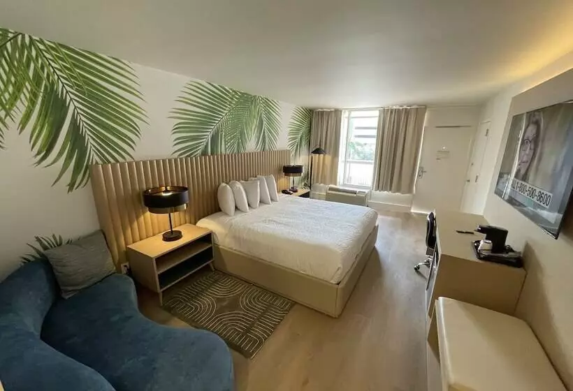 The Harrison Hotel Downtown Hollywood