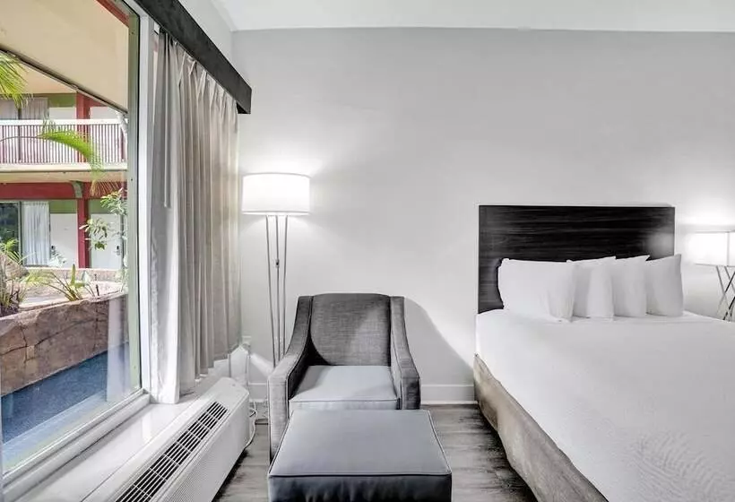 The Harrison Hotel Downtown Hollywood