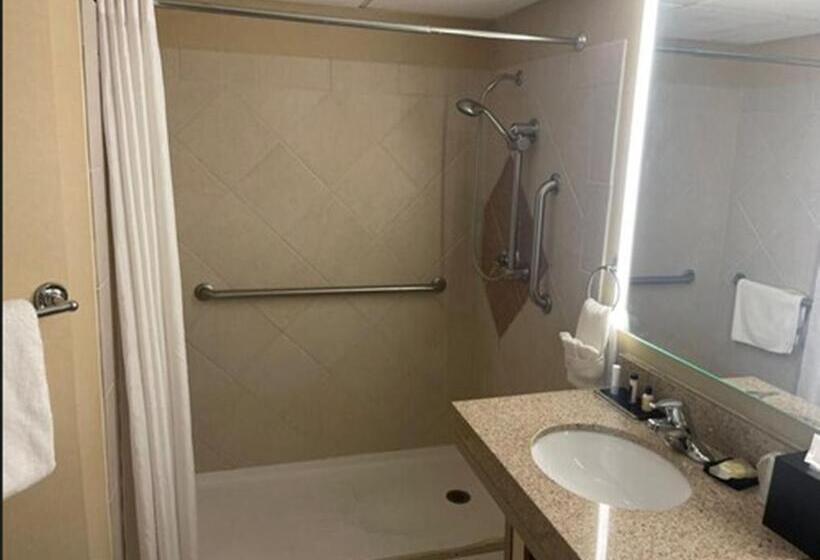 Wyndham Omaha Hotel West Dodge