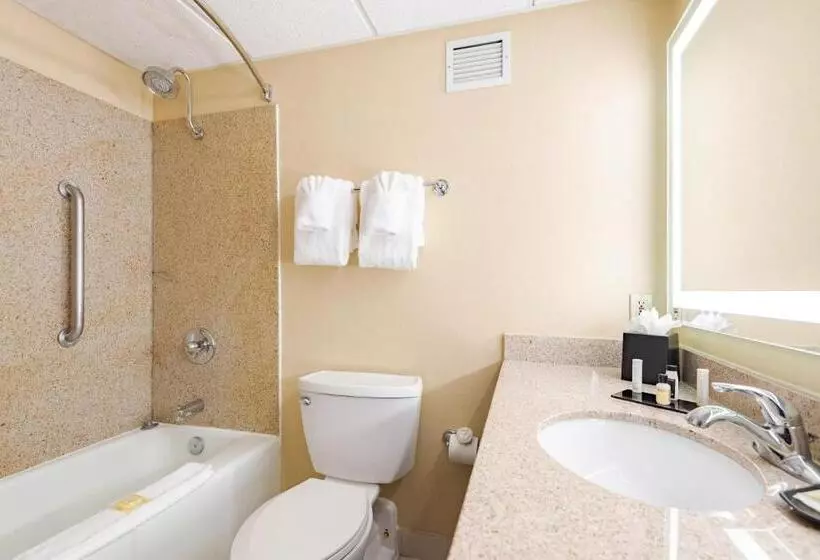 Wyndham Omaha Hotel   West Dodge