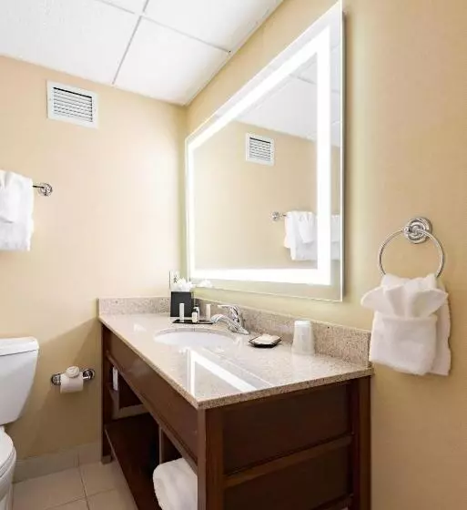 Wyndham Omaha Hotel   West Dodge