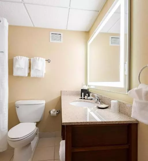 Wyndham Omaha Hotel   West Dodge