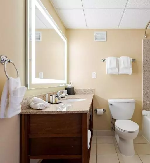 Wyndham Omaha Hotel   West Dodge