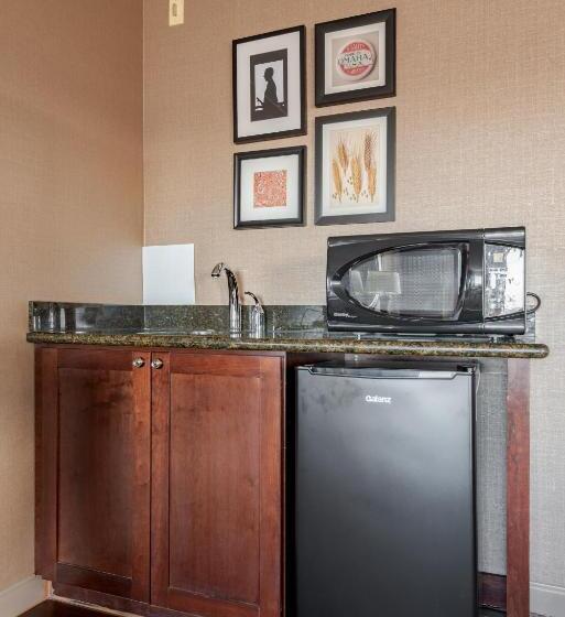 Wyndham Omaha Hotel West Dodge