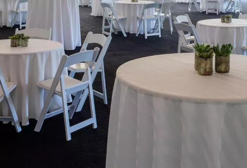 Отель Boston Marriott Newton