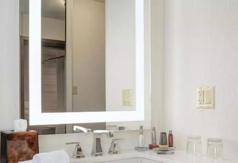 فندق Detroit Marriott Southfield