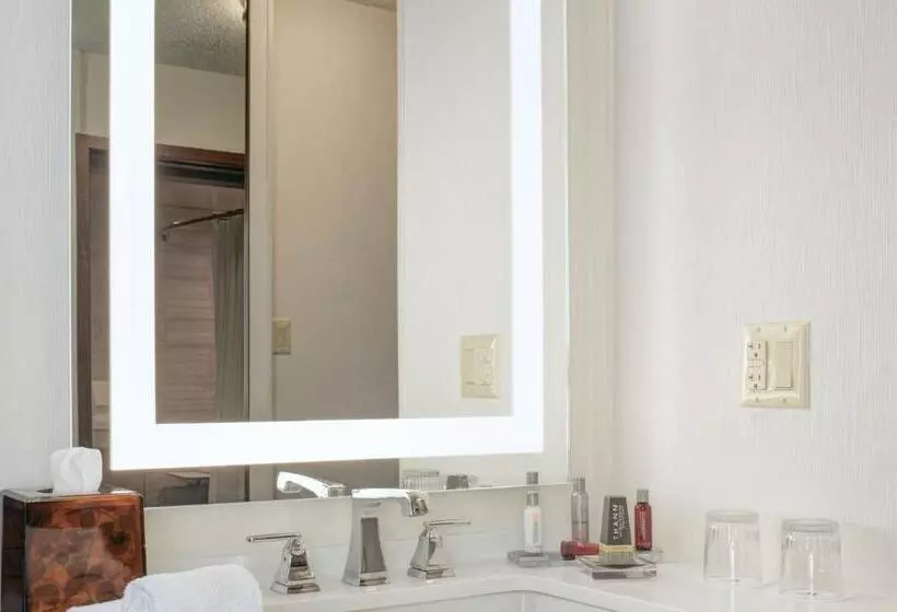 فندق Detroit Marriott Southfield