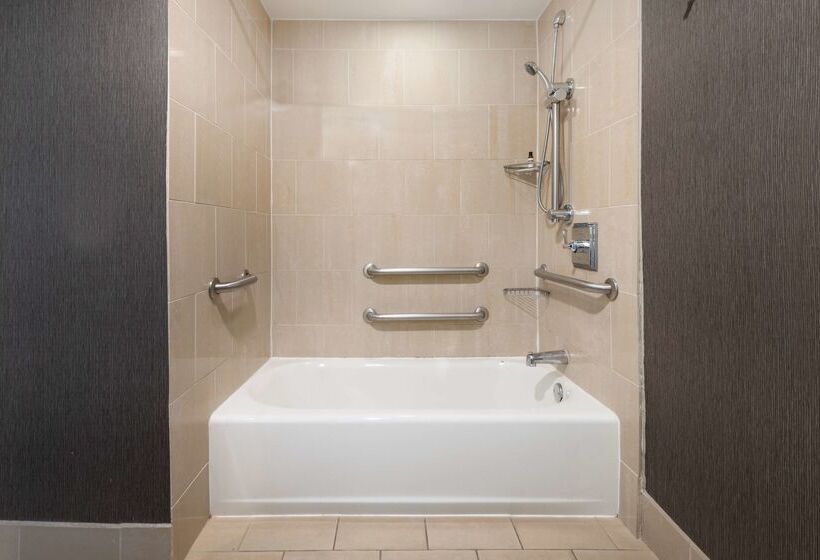 Otel Hyatt Regency Long Island