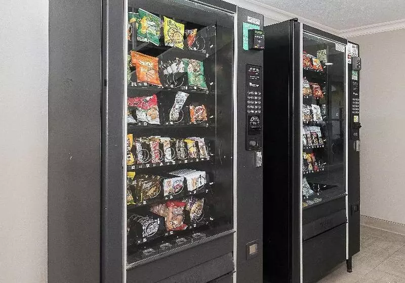 בית מלון כפרי Red Roof Inn Tampa Bay St Petersburg