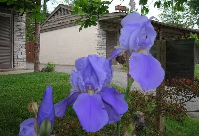 فندق The Mountaineer Inn