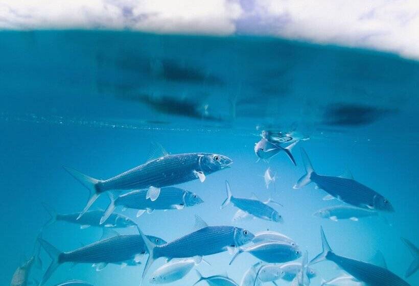 Outrigger Kauaʻi Beach Resort & Spa