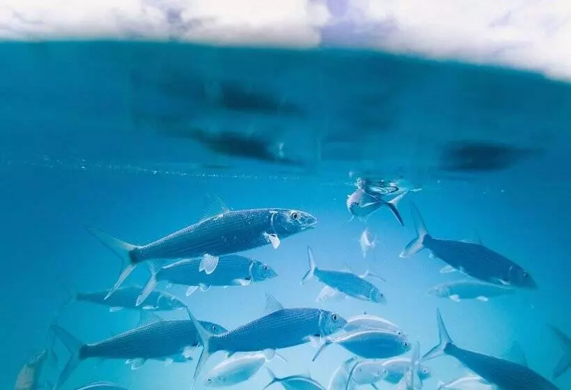 Outrigger Kauaʻi Beach Resort & Spa