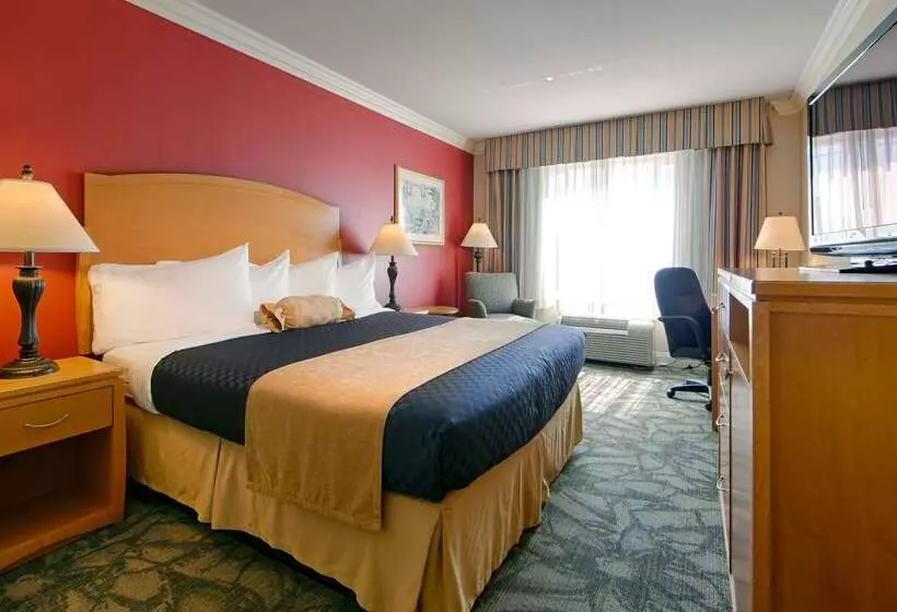 酒店 Best Western Plus Anaheim Orange County