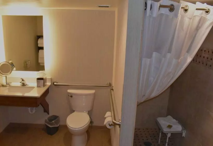 Otel Doubletree By Hilton Helena Downtown