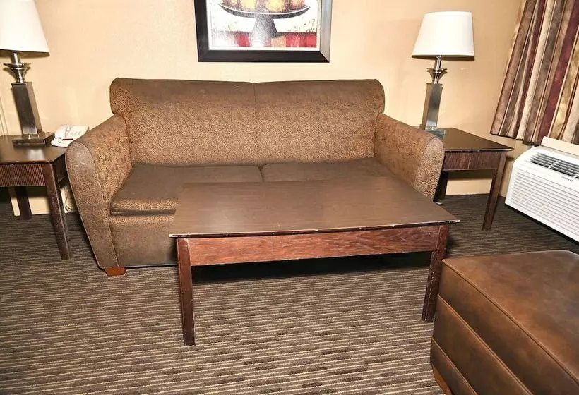 酒店 Fortune Inn & Suites