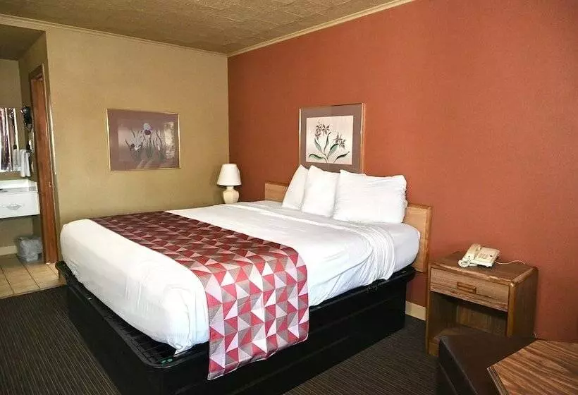 酒店 Fortune Inn & Suites