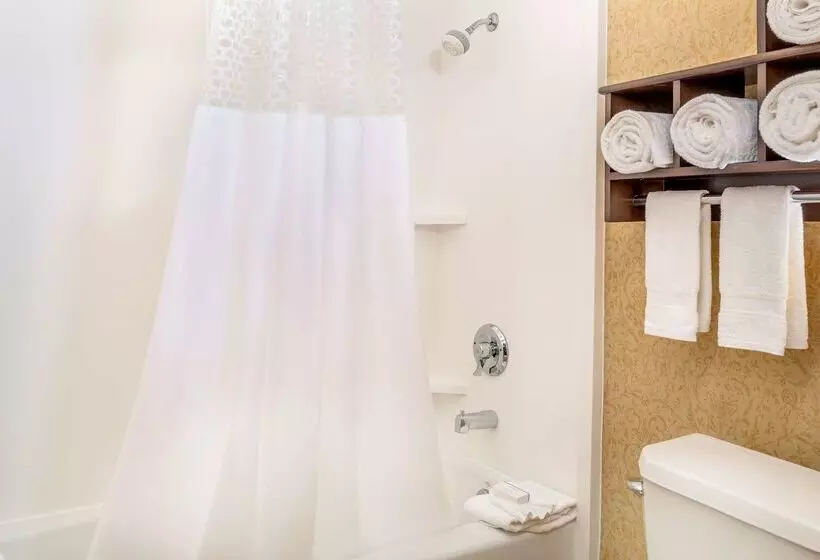 ホテル Hampton Inn & Suites San Clemente