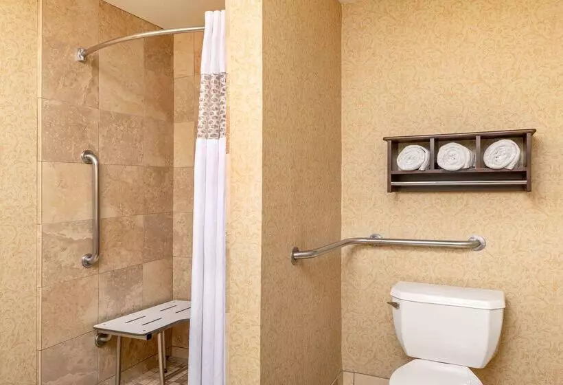 ホテル Hampton Inn & Suites San Clemente