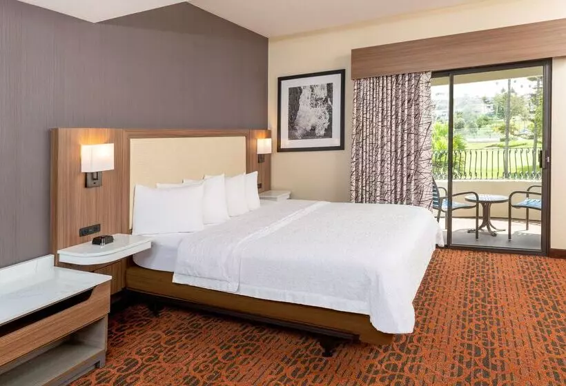 ホテル Hampton Inn & Suites San Clemente