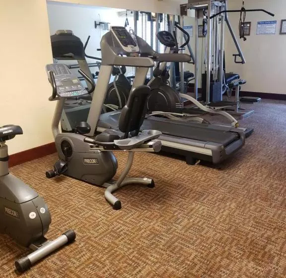 ホテル Ocotillo Inn