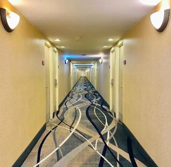 ホテル Ocotillo Inn