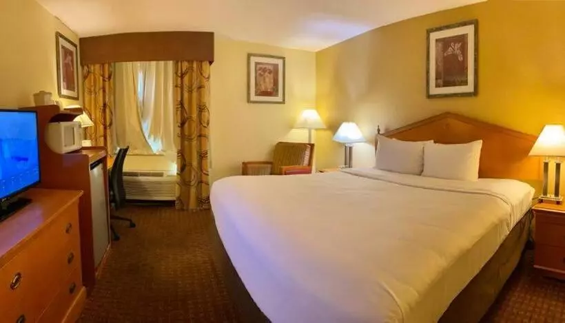 ホテル Ocotillo Inn