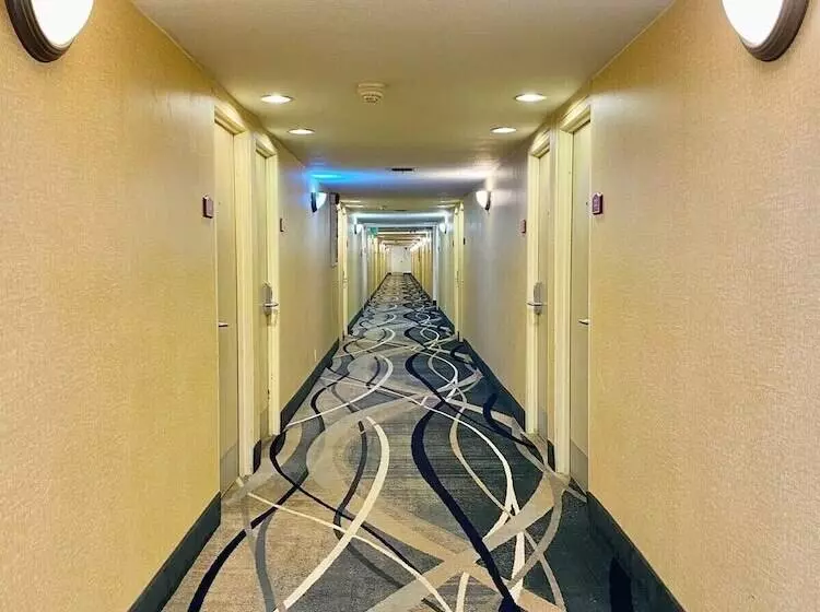 ホテル Ocotillo Inn