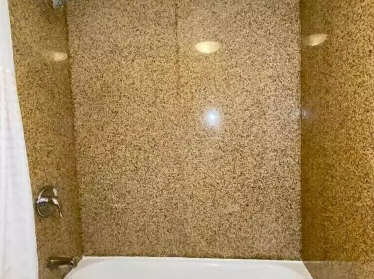 ホテル Ocotillo Inn