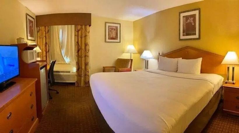 ホテル Ocotillo Inn