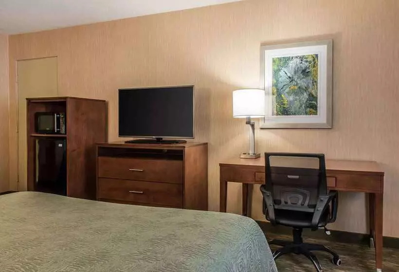 בית מלון כפרי Quality Inn