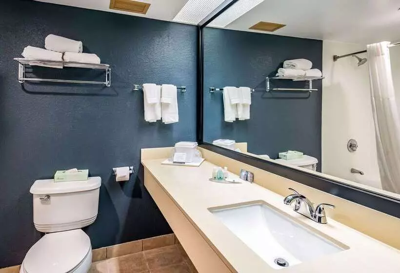 酒店 Quality Inn & Suites Garden Of The Gods