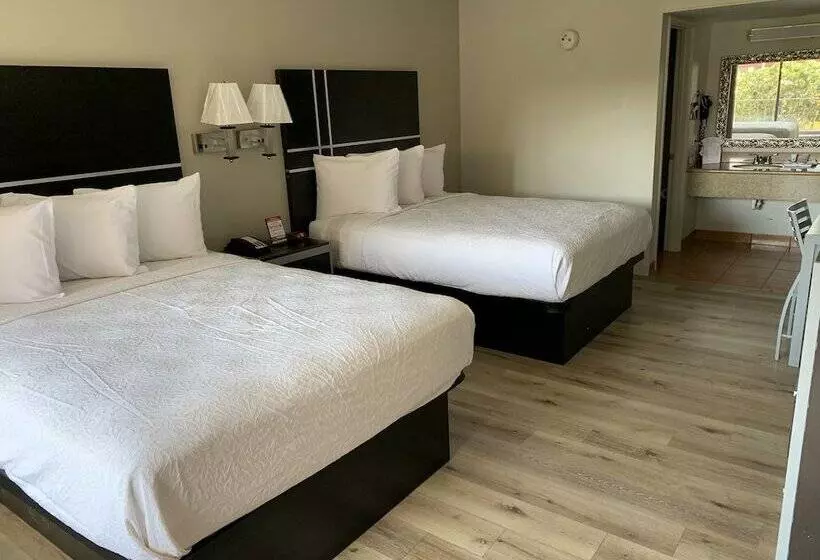 מוטל South Padre Island Lodge