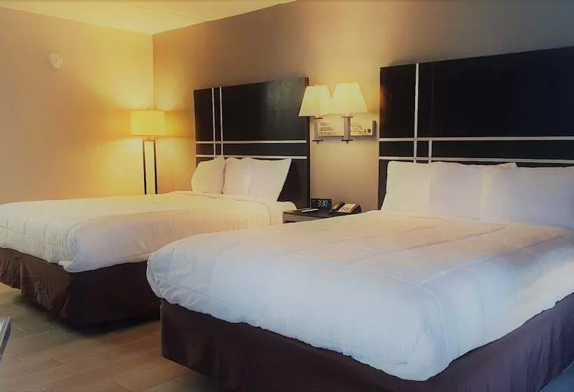 מוטל South Padre Island Lodge