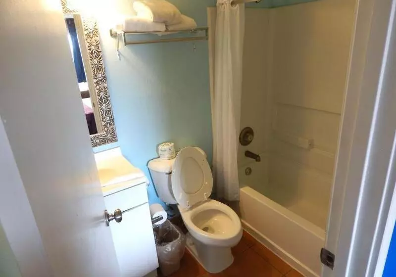 מוטל South Padre Island Lodge