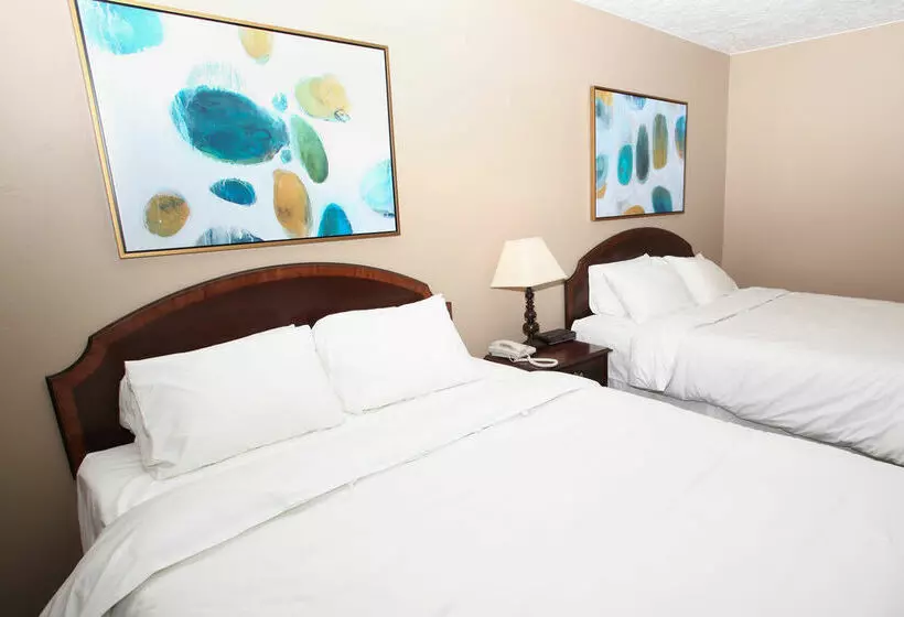 فندق Stratford Court