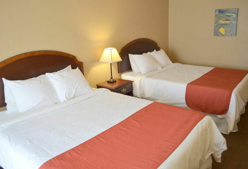 فندق Stratford Court